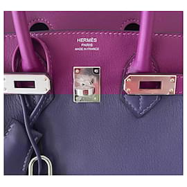 Hermès-Birkin 25-Purple